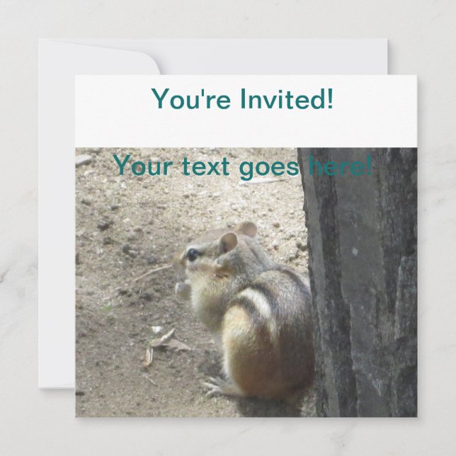 Chipmunk Midland Ontario Inbjudningar (Framsida)