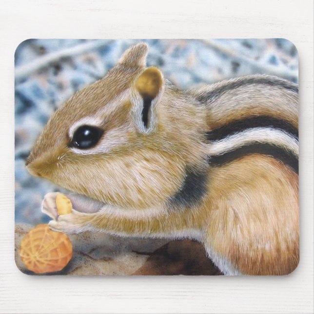 Chipmunk Musmatta (Framsidan)