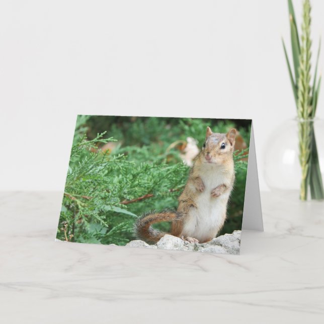Chipmunk Notecard Kort (Framsida)