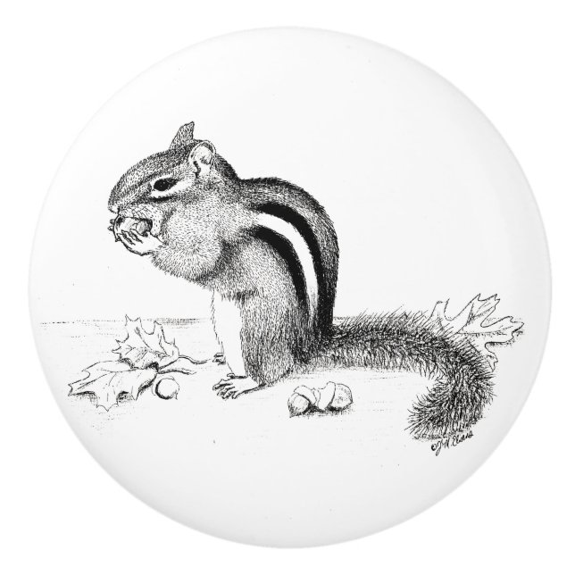 Chipmunk och Acorns Knopp (Framsidan)