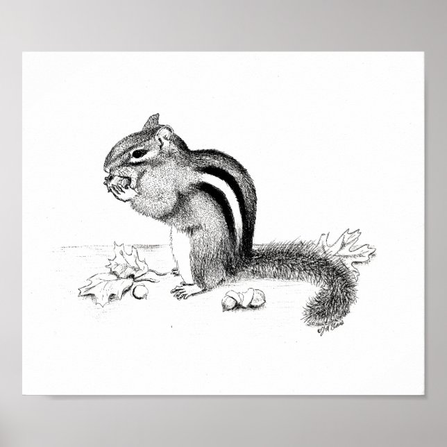 Chipmunk och Acorns Poster (Framsidan)