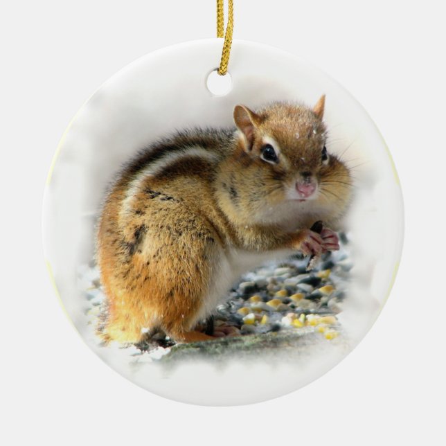 Chipmunk Ornament (Framsidan)