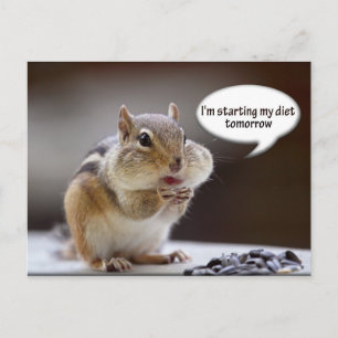 Chipmunk på ett dietfoto vykort