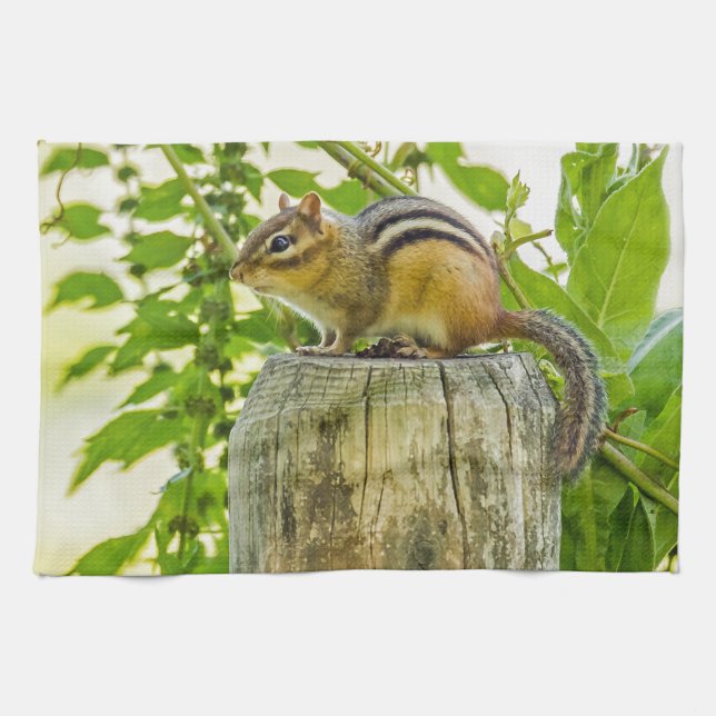 Chipmunk på ett stängningsfack Lämnat Kökshandduk (Horisontell)