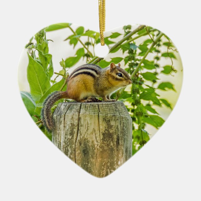 Chipmunk på ett stängslet julgransprydnad keramik (Framsidan)