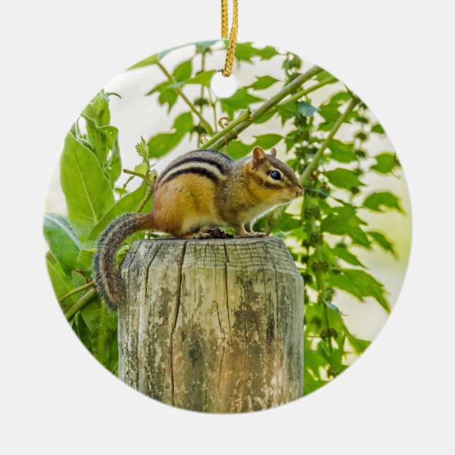 Chipmunk på ett stängslet julgransprydnad keramik (Framsidan)