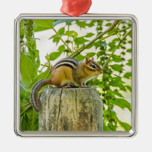 Chipmunk på ett stängslet julgransprydnad metall