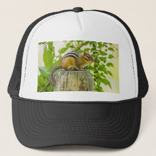 Chipmunk på ett stängslet keps
