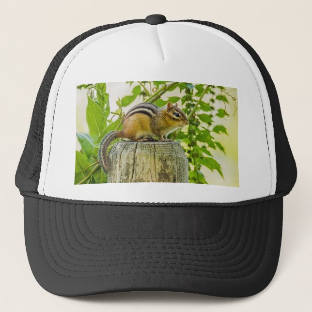 Chipmunk på ett stängslet keps (Framsida)