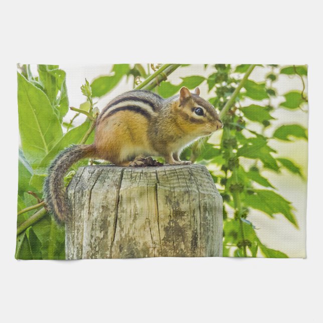 Chipmunk på ett stängslet kökshandduk (Horisontell)