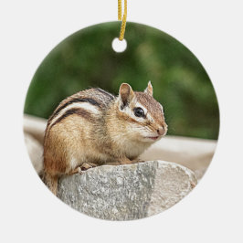 Chipmunk på sten julgransprydnad keramik
