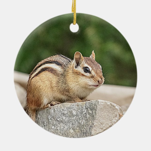 Chipmunk på sten julgransprydnad keramik (Baksidan)