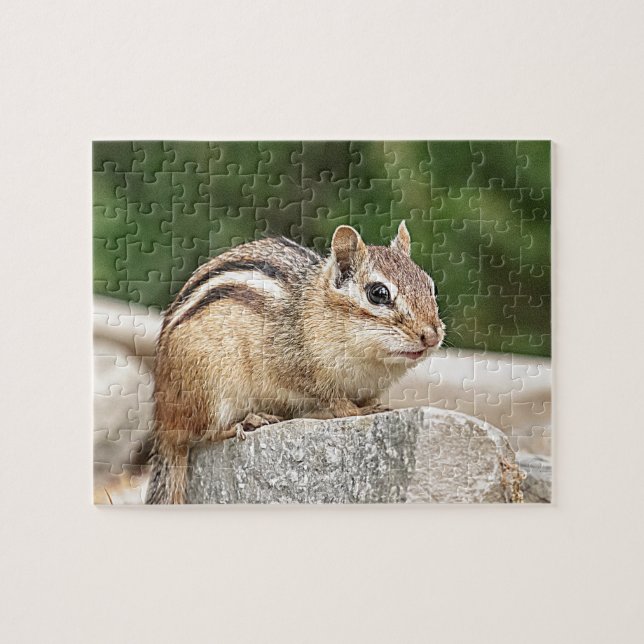 Chipmunk på sten pussel (Horisontell)