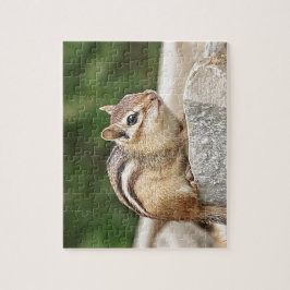 Chipmunk på sten pussel