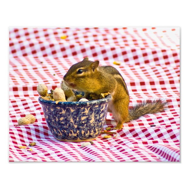 Chipmunk Picnic Fototryck (Framsidan)
