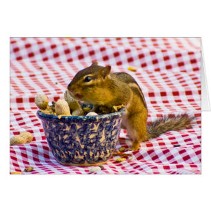 Chipmunk Picnic Hälsningskort