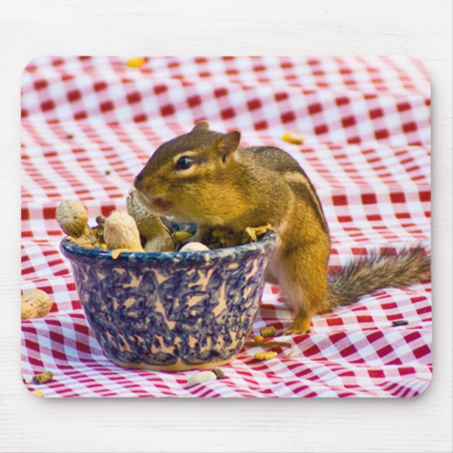 Chipmunk Picnic Musmatta (Framsidan)