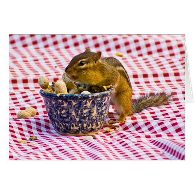 Chipmunk Picnic OBS Kort (Framsidan Horizontal)