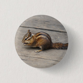 Chipmunk Pinback-knapp Knapp
