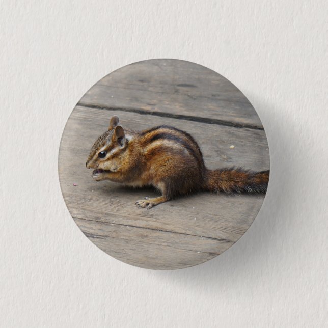 Chipmunk Pinback-knapp Knapp (Framsida)