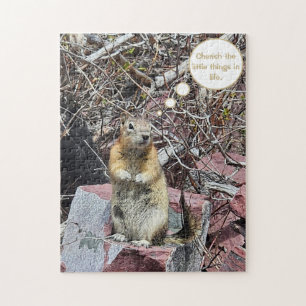 Chipmunk Puzzle Pussel