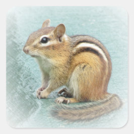 Chipmunk Rand Fyrkantigt Klistermärke