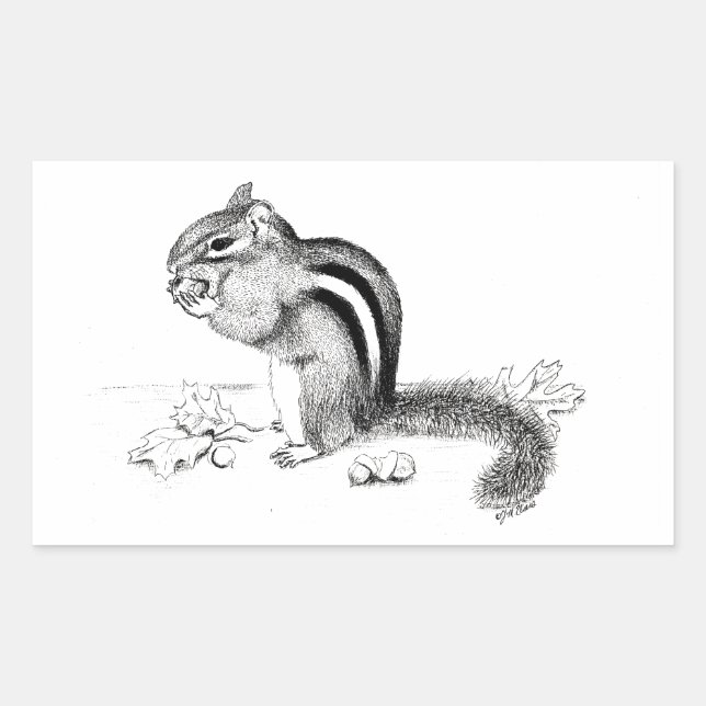 Chipmunk Rektangulärt Klistermärke (Framsida)