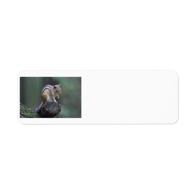 Chipmunk-returetiketter Returadress Etikett (Framsidan)