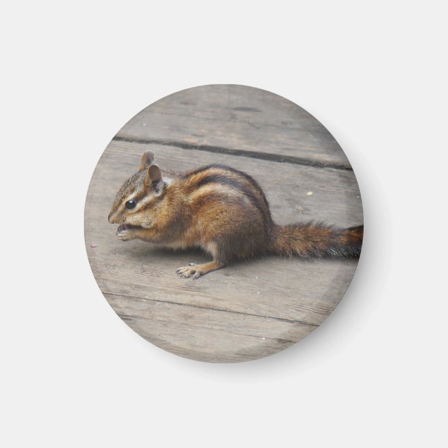 Chipmunk Round Magnet (Framsidan)