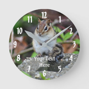 Chipmunk Sitta Animal Rund Klocka