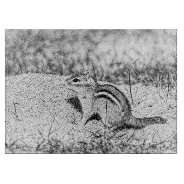 Chipmunk Sketch (Framsidan)