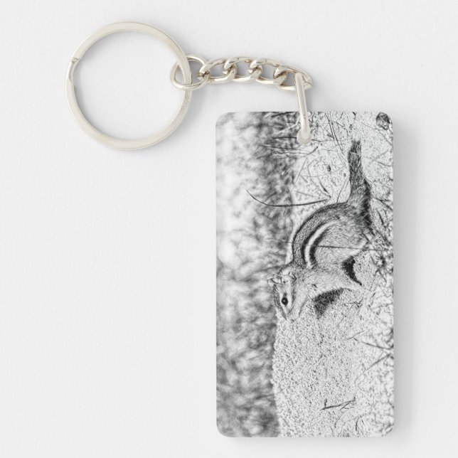 Chipmunk Sketch (Framsidan)