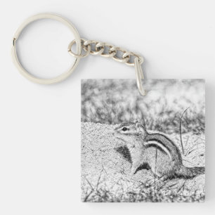 Chipmunk Sketch