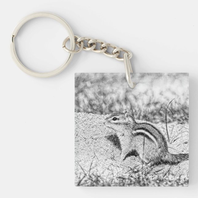 Chipmunk Sketch (Framsidan)