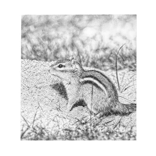 Chipmunk Sketch Anteckningsblock (Framsida)