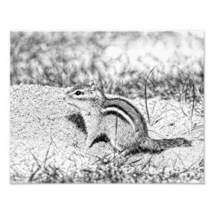 Chipmunk Sketch Fototryck