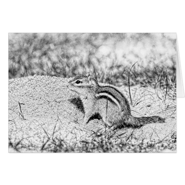 Chipmunk Sketch Hälsningskort (Framsidan Horizontal)