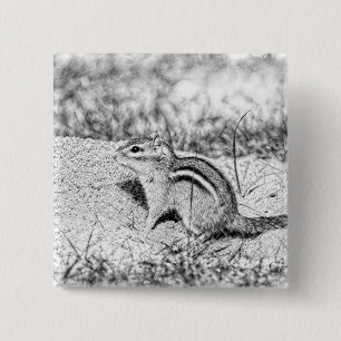 Chipmunk Sketch Knapp
