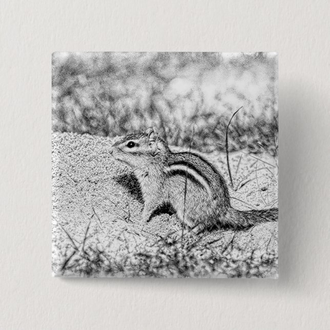 Chipmunk Sketch Knapp (Framsida)