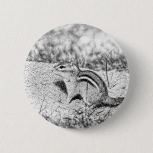 Chipmunk Sketch Knapp