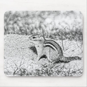 Chipmunk Sketch Musmatta