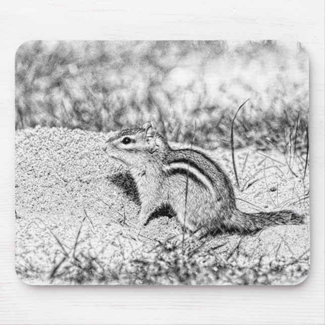 Chipmunk Sketch Musmatta (Framsidan)