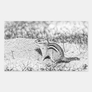 Chipmunk Sketch Rektangulärt Klistermärke