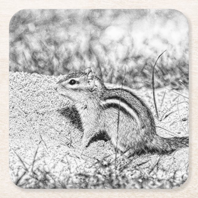 Chipmunk Sketch Underlägg Papper Kvadrat (Framsidan)