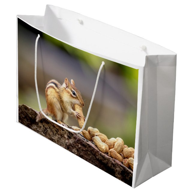 Chipmunk som äter en jordnöt (Framsidan Vinklad)