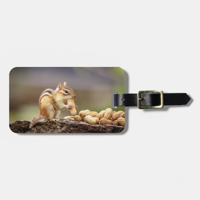 Chipmunk som äter en jordnöt bagagebricka (Horisontell Framsida)
