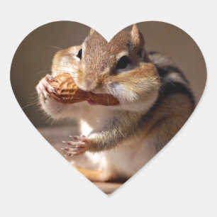 Chipmunk Stuffing Hans Ansikte Hjärtformat Klistermärke
