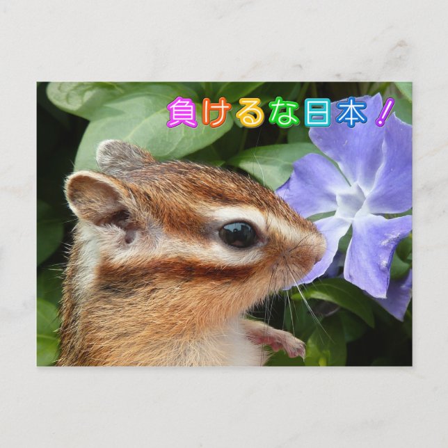 Chipmunk , Support JAPAN Vykort (Framsida)