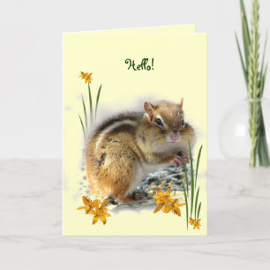Chipmunk tänker på dig kort