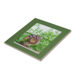 Chipmunk Tile Kakelplatta